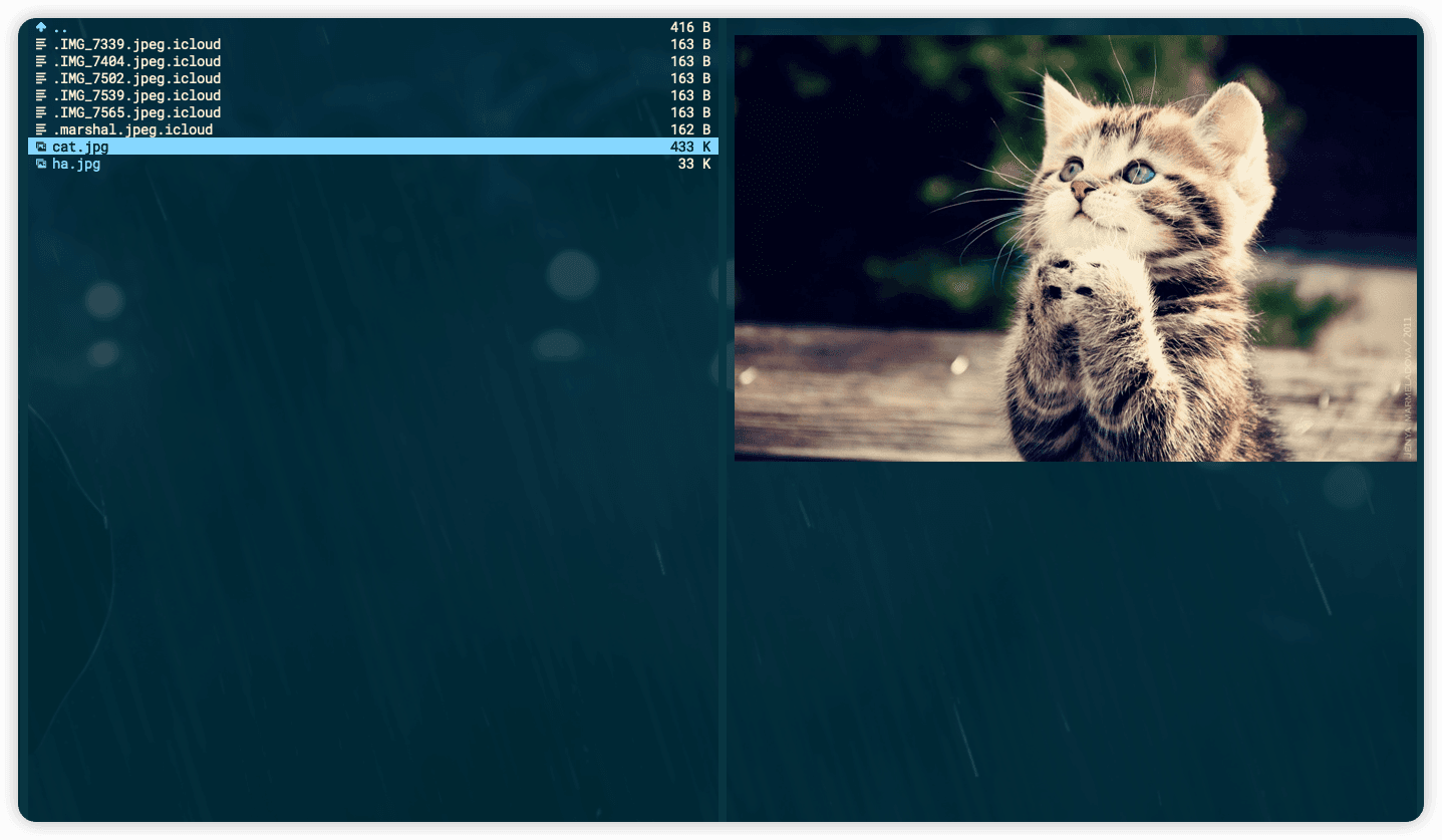 Preview Images in terminal with iTerm2, Tmux, and VIFM